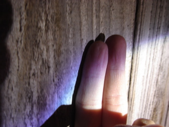 DSC09620